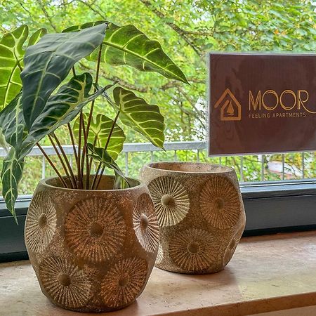 Moor Feeling Apartments Ворпсведе Екстериор снимка